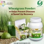 girme’s wheatgrass powder 100g bottle