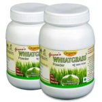 gwg bottles 100gm small