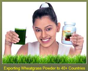 Wheatgrass