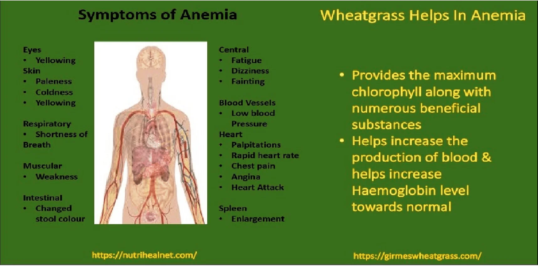 Wheatgrass Powder for Anemia