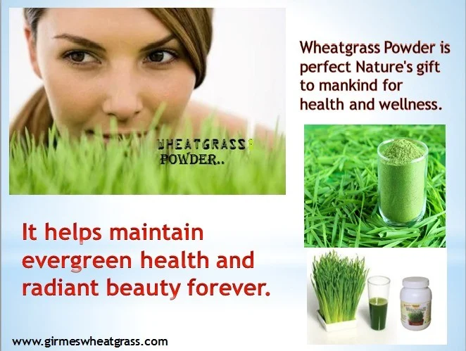 Health Benefits of Wheatgrass Powder