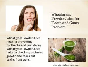 Wheatgrass Powder on Tooth Acne