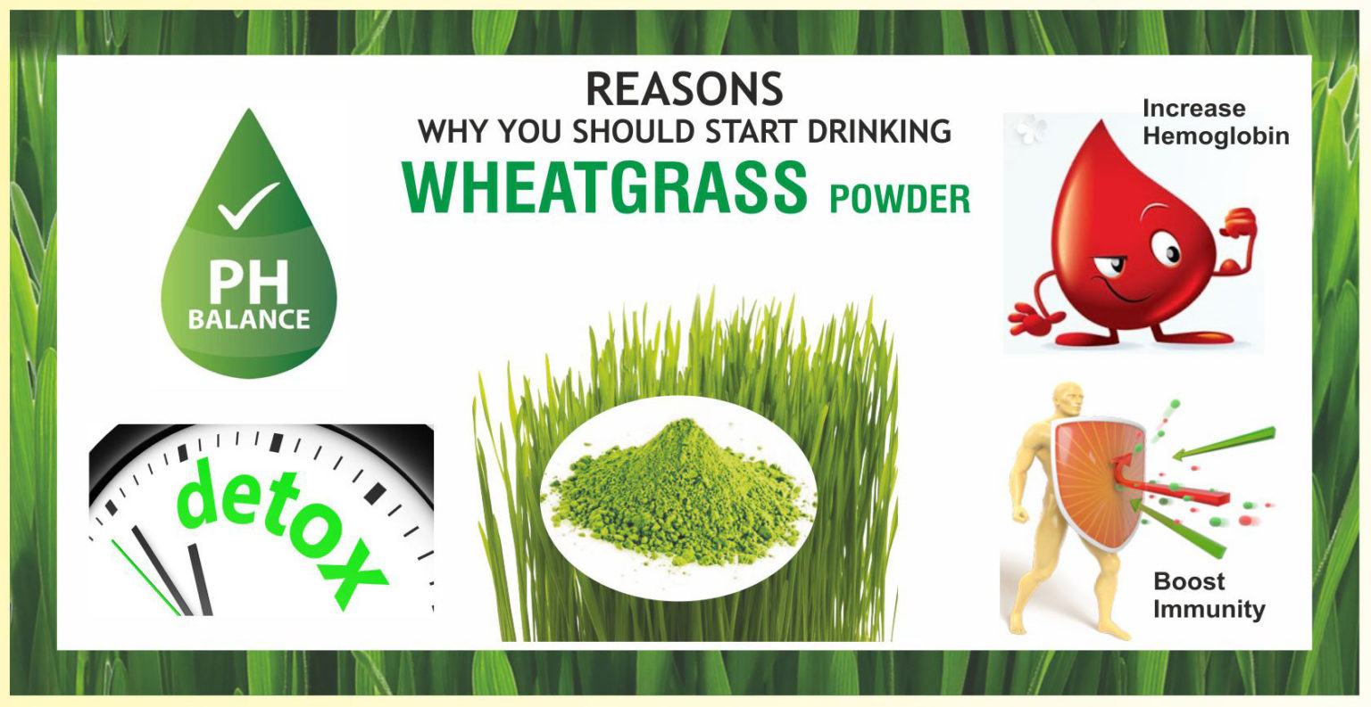 Benefits of Wheatgrass Powder, Organic Wheatgrass Powder Benefits for