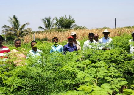 Farmers visit 29.05.2025b