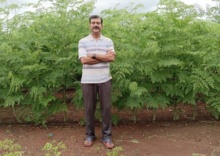 Hemant Girme - Moringa farm